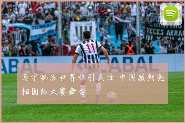 马宁执法世界杯引关注 中国裁判亮相国际大赛舞台